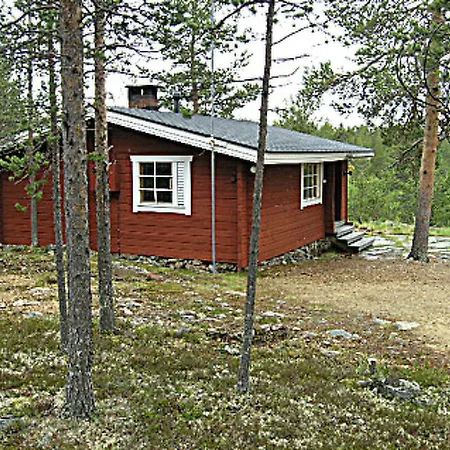 Holiday Kivakko *